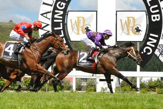 Sir Nate (NZ) wins the Listed Wellesley Stakes at Trentham. Photo: Race Images Palmerston North